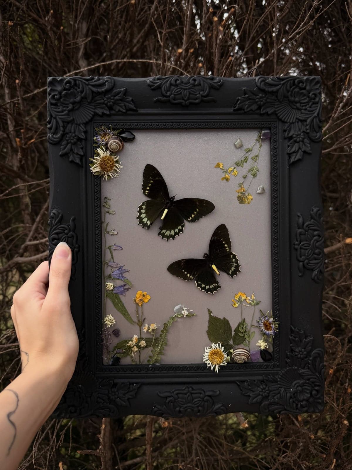 Ukázka tvorby: Butterfly Effect